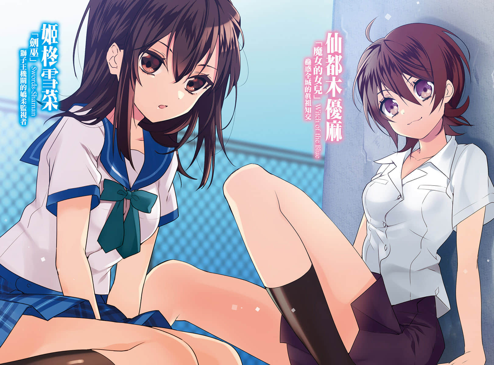《噬血狂袭 Strike the Blood》16 虚幻的圣骑士 插图（4）