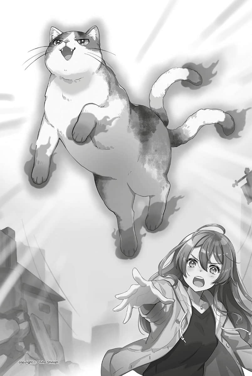 《虽然世界变成怪物横行 有可以依赖的猫就没问题》1 插图（17）