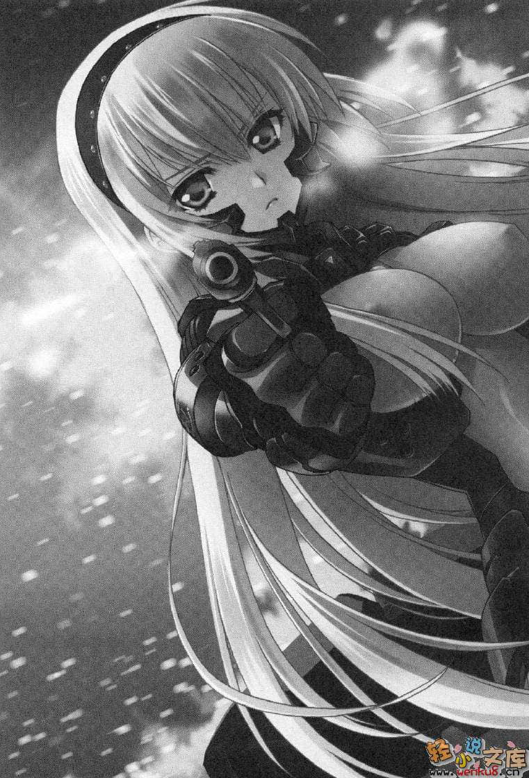 《MUV-LUV Schwarzes marken》1 插图（18）