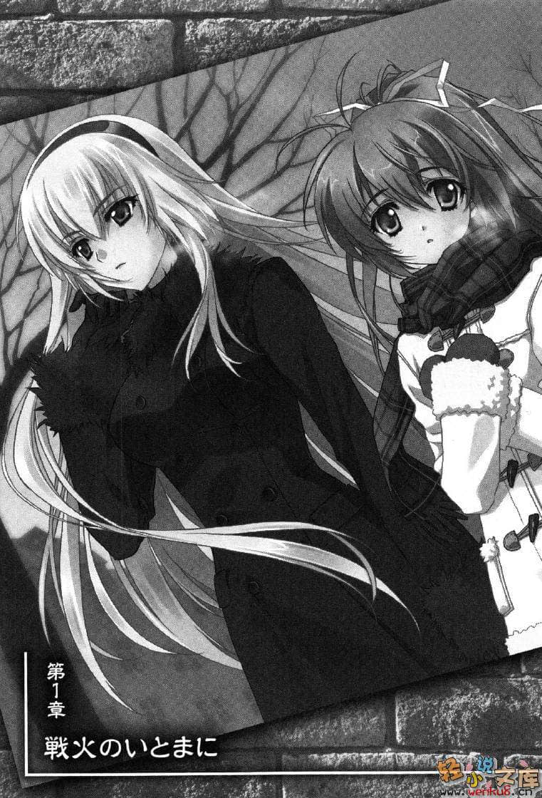 《MUV-LUV Schwarzes marken》3 插图（14）
