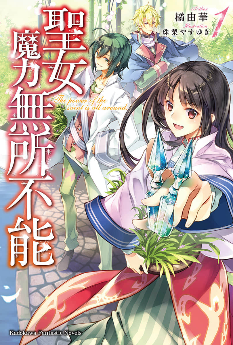 圣女魔力无所不能小说插图（11）