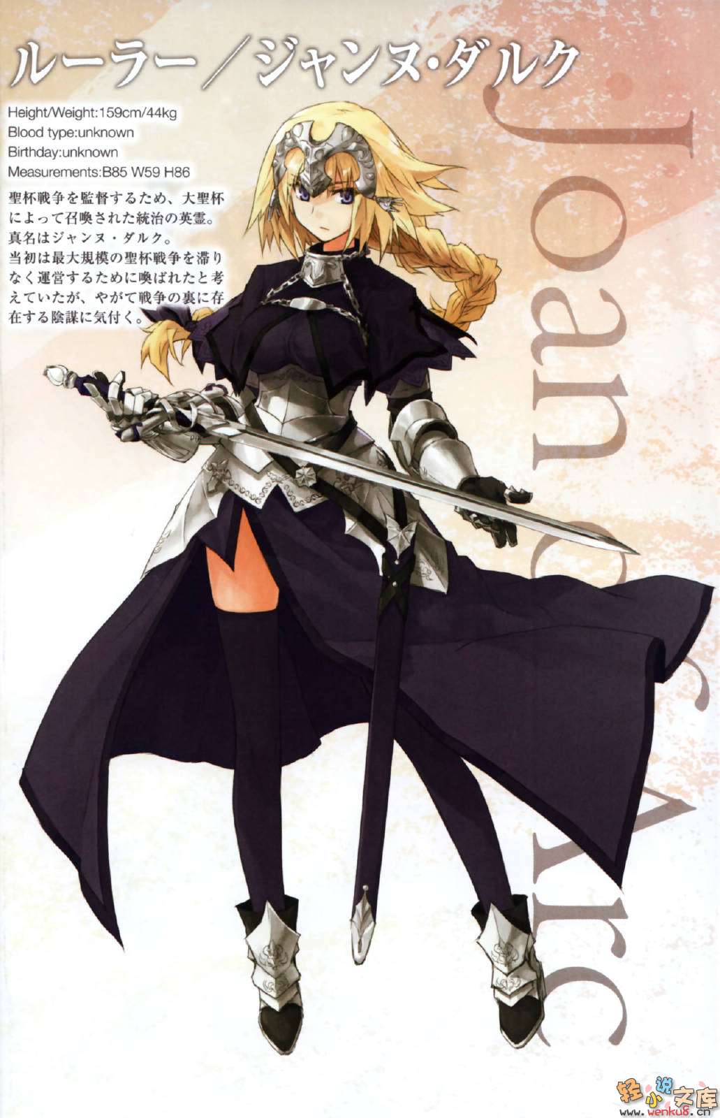 Fate Apocrypha小说插图（10）