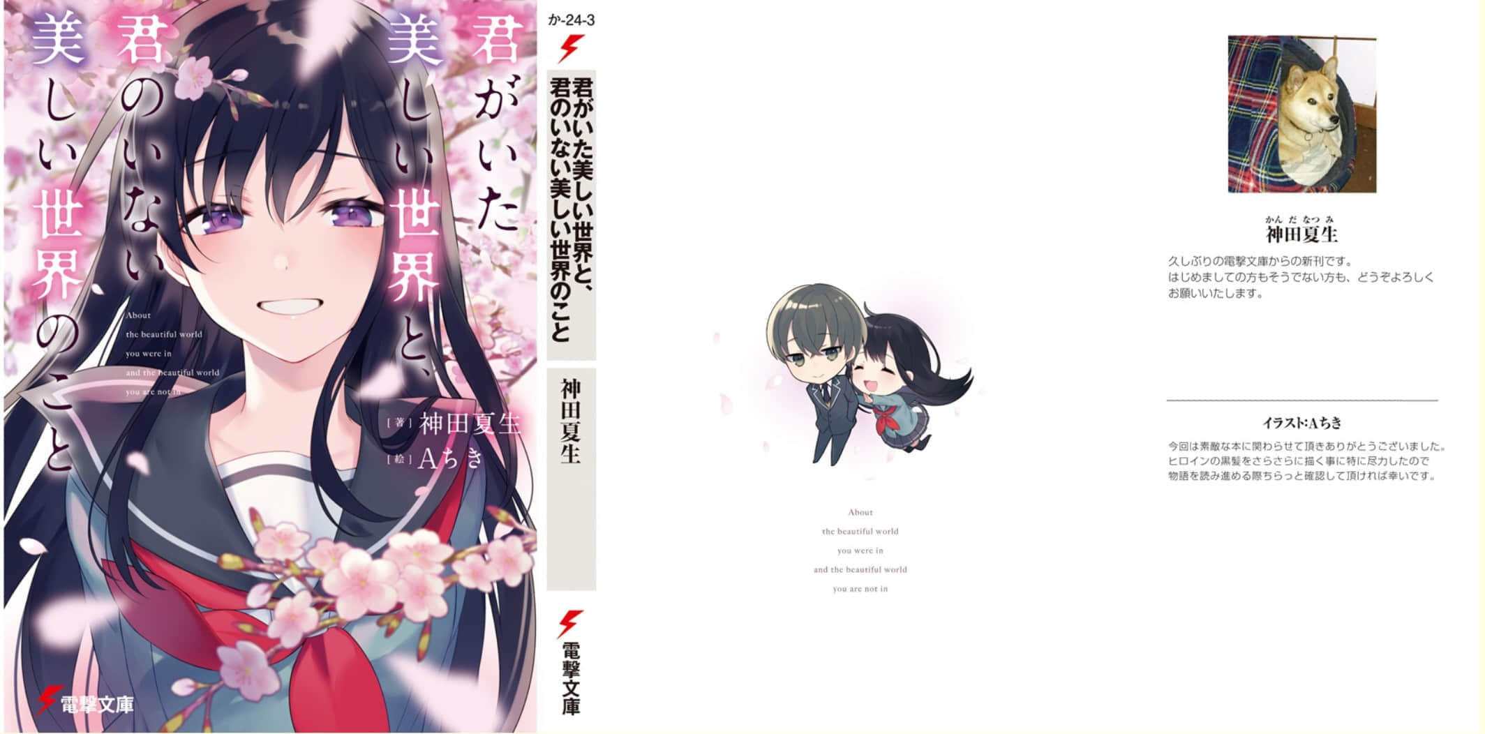 世界因你更加美丽小说插图（13）