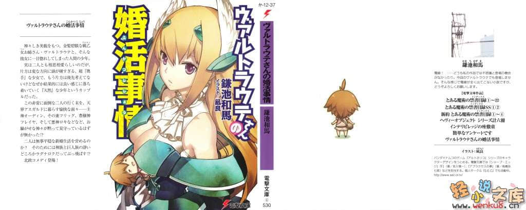 我与女武神的新婚生活小说插图（5）