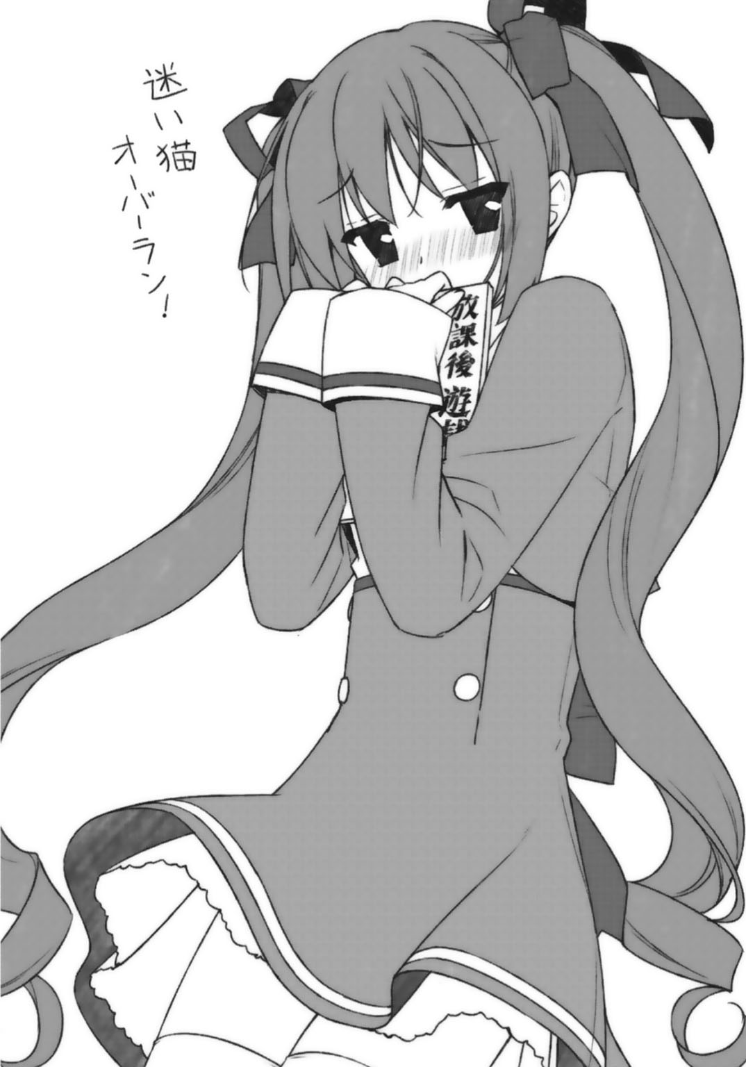 《娇蛮猫娘大横行！》7 把我捡回去不就好了嘛！ 后记插图（1）
