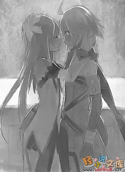Tales of Symphonia 交响曲传奇 拉塔特斯克的骑士小说插图（15）