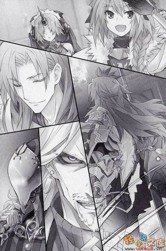 Fate Apocrypha小说插图（13）