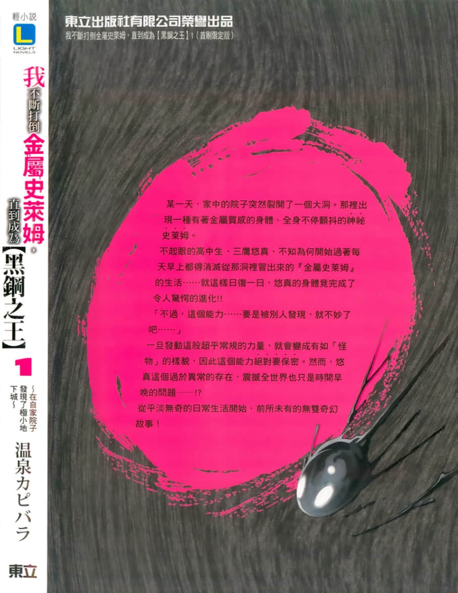 我不断打倒金属史莱姆，直到成为【黑钢之王】小说插图（18）