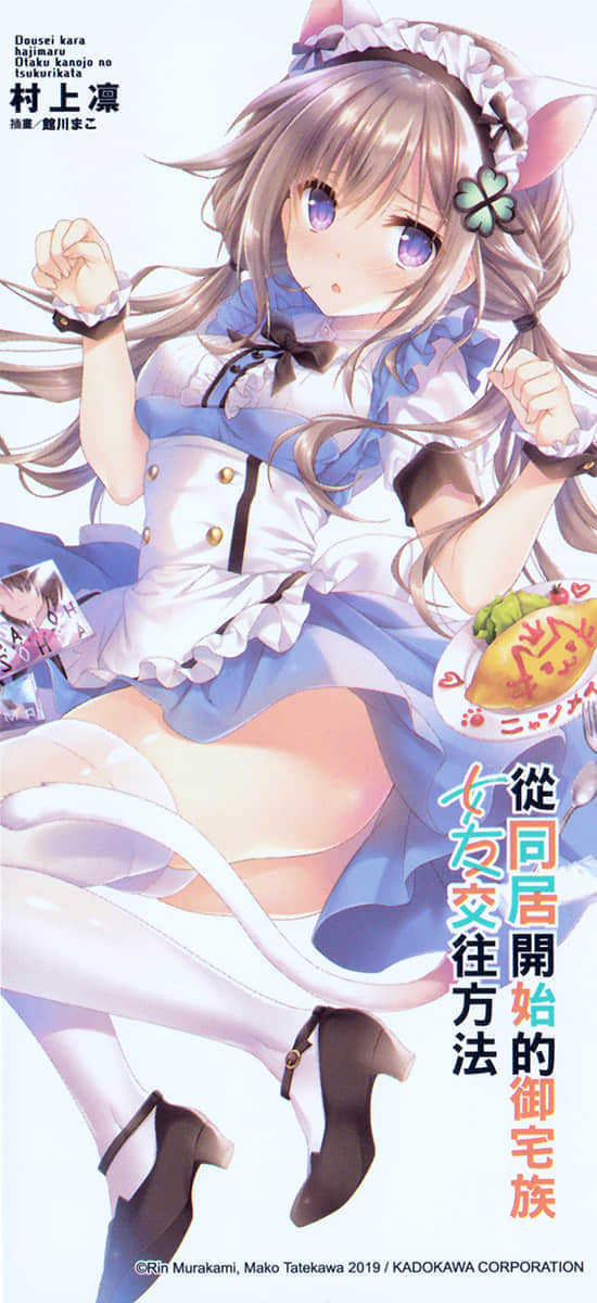 《从同居开始的御宅族女友交往方法》2 插图（15）