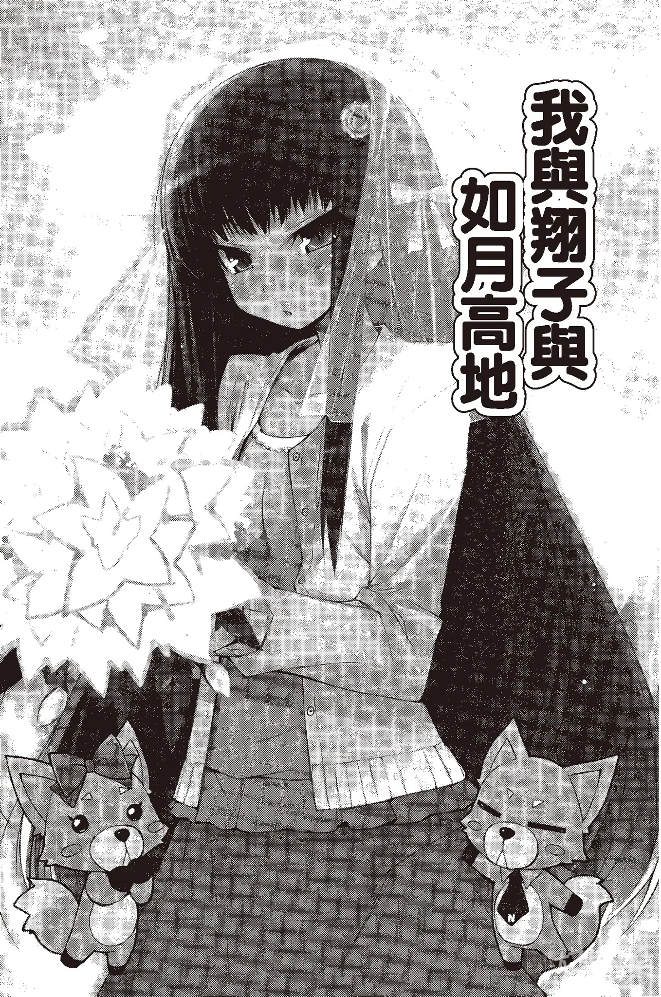 《笨蛋，测验，召唤兽》3.5 我与翔子与如月高地插图（1）