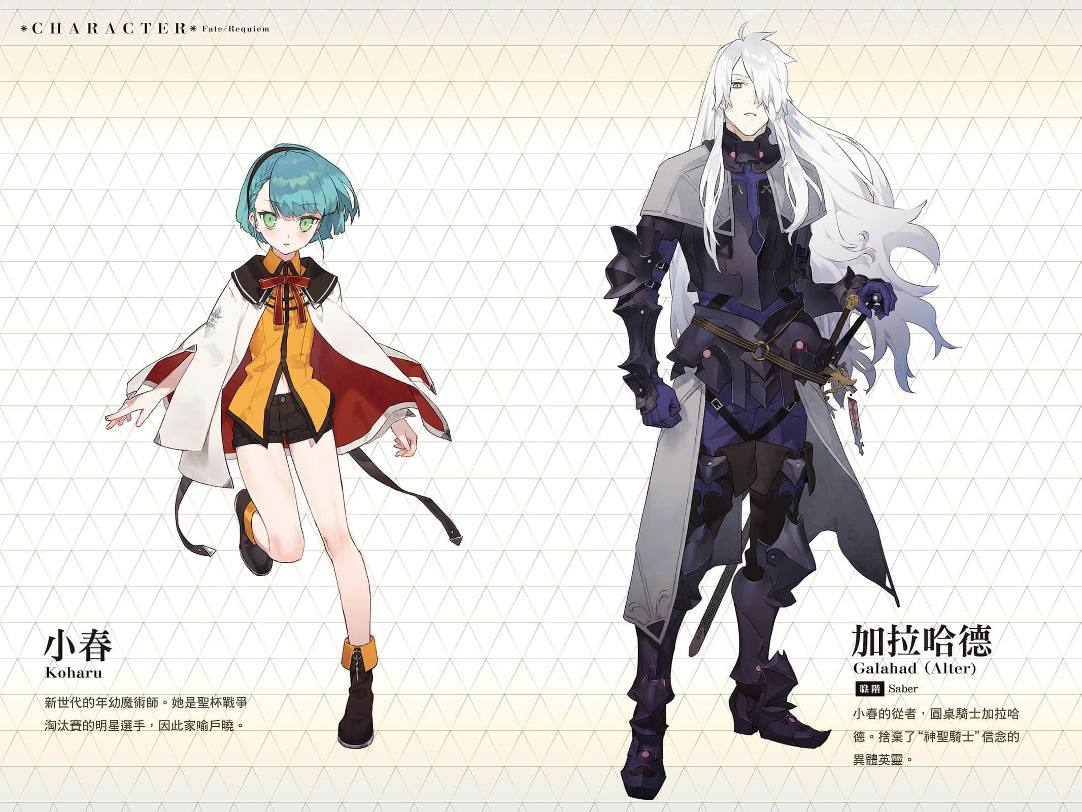 《Fate/Requiem》1 漫步群星的少年 插图（5）