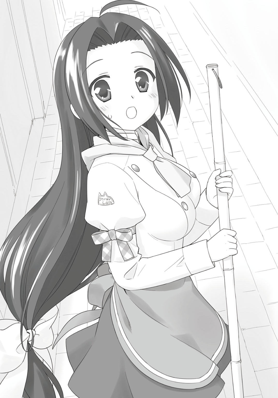 《娇蛮猫娘大横行!》9 我啊,被大家保护着呢♪ 第三章 完M的结婚对象插图(1)