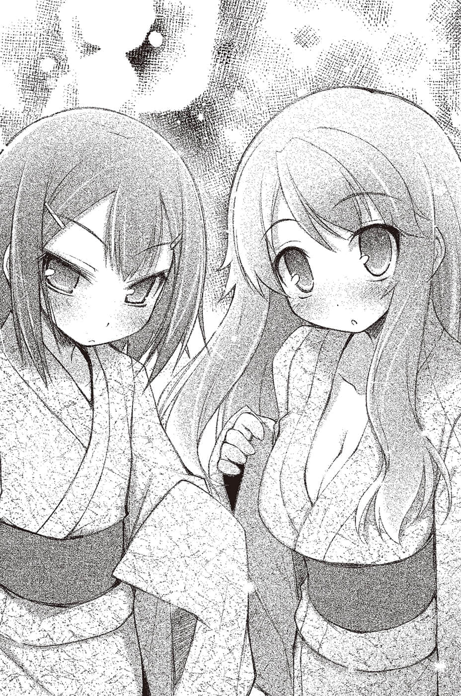 《笨蛋，测验，召唤兽》3 第六问插图（2）