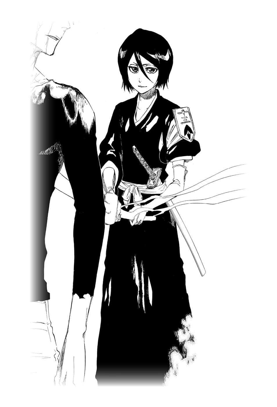 《BLEACH 死神》3 The Death Save The Strawberry 插图（16）