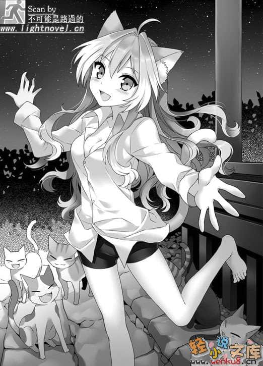 《我无法说明她有猫耳与尾巴的理由》1 插图（15）