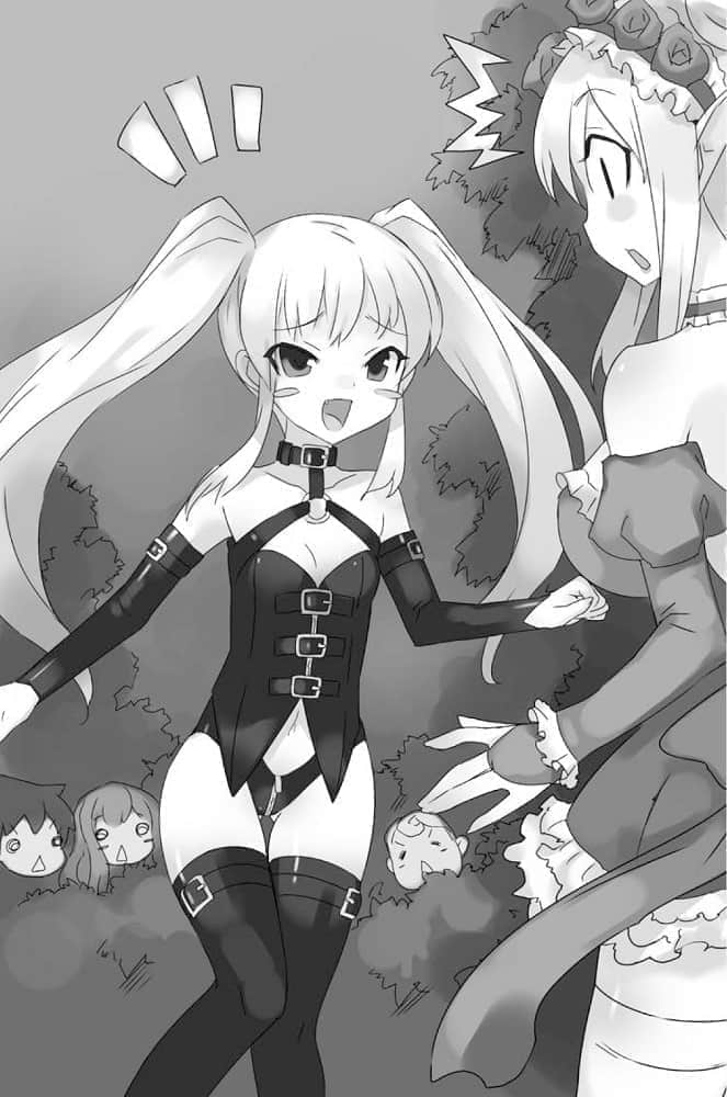 零之使魔小说插图（327）