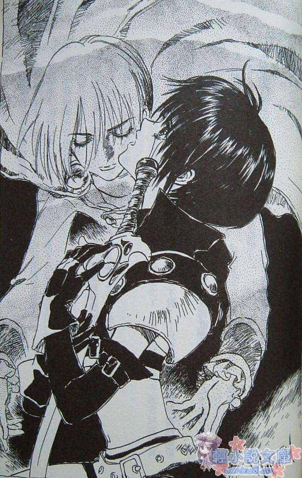 Tales of Destiny 命运传奇 命运传承者小说插图（11）
