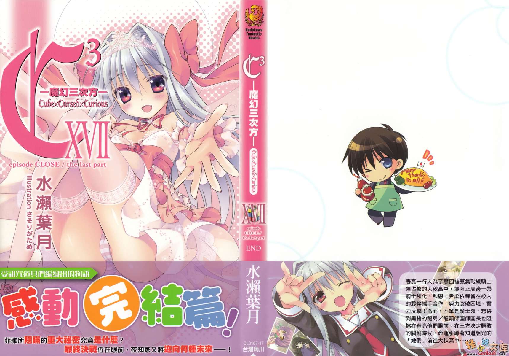 《C3魔幻三次方》17 插图（1）
