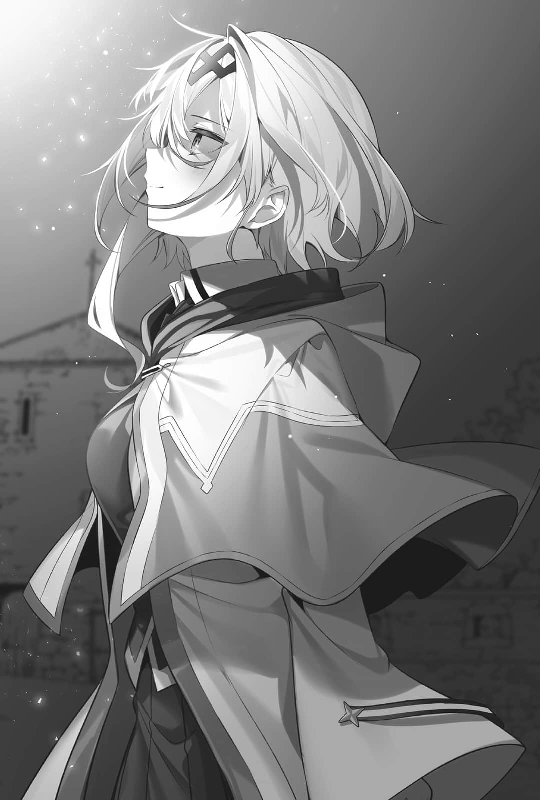 这就是魔法师的王牌小说插图（14）