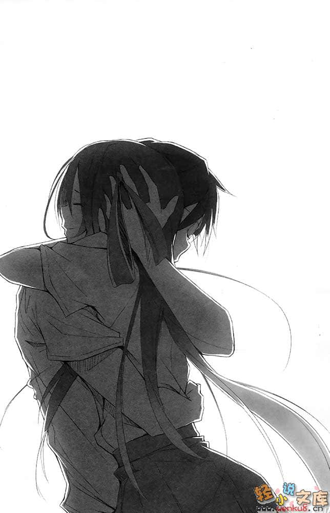《钢音之剑》3 插图（15）