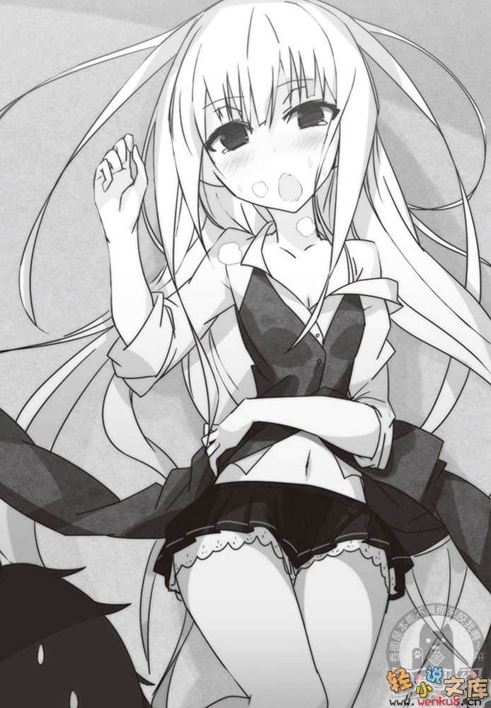 伪恶之王小说插图（21）