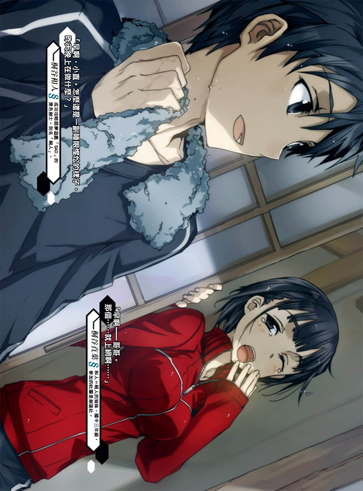 《刀劍神域 Sword Art Online》4 妖精之舞 插圖（3）