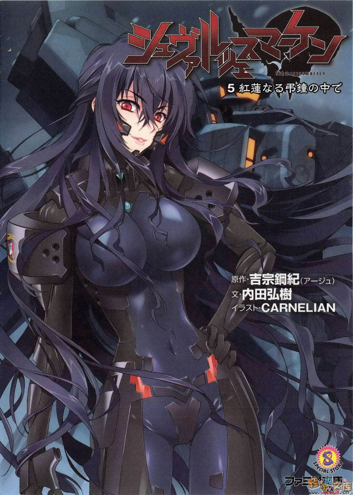 《MUV-LUV Schwarzes marken》5 插图（1）