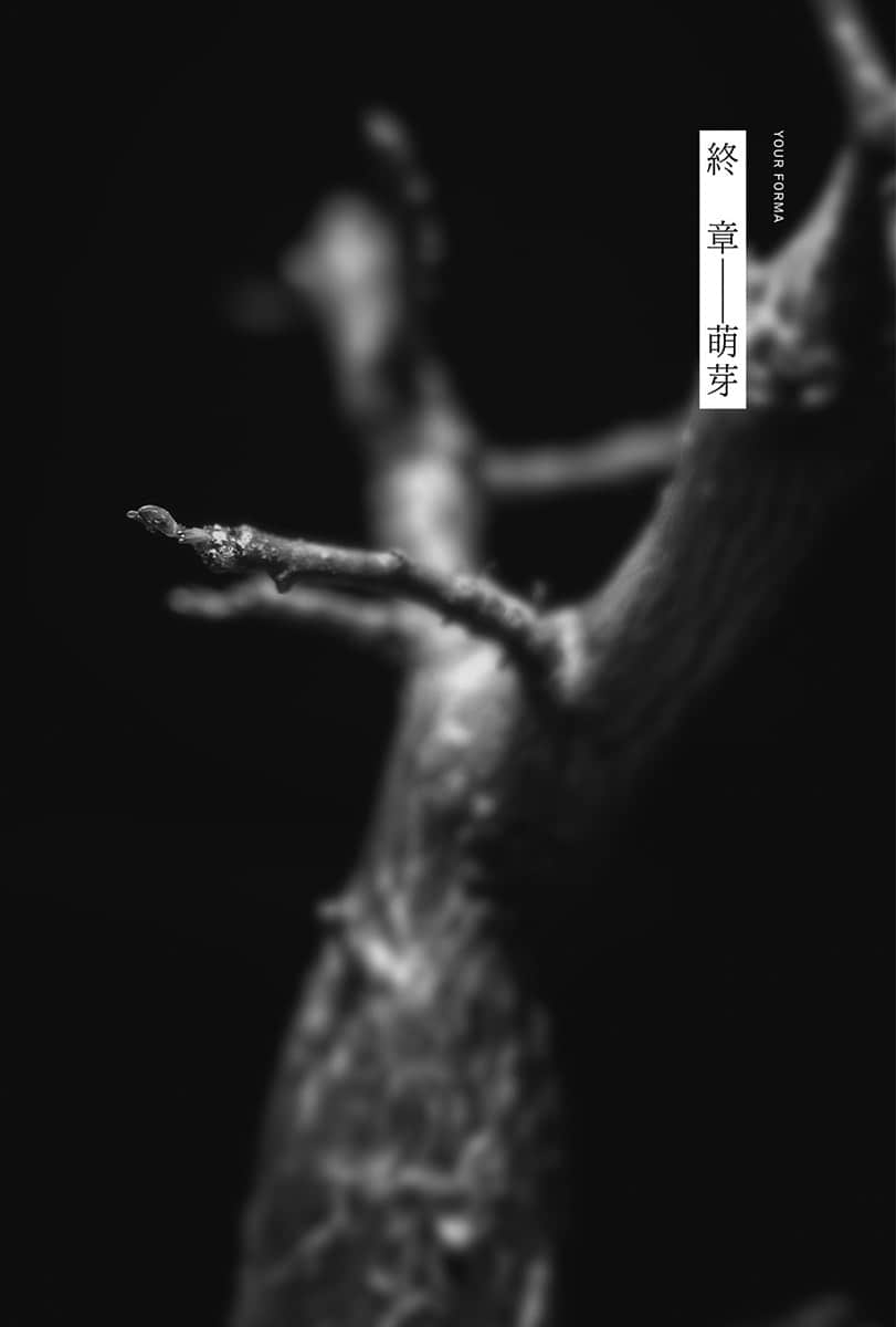 《记忆缝线 YOUR FORMA》4 电索官埃缇卡与圣彼得堡的恶梦 终章 萌芽插图（1）