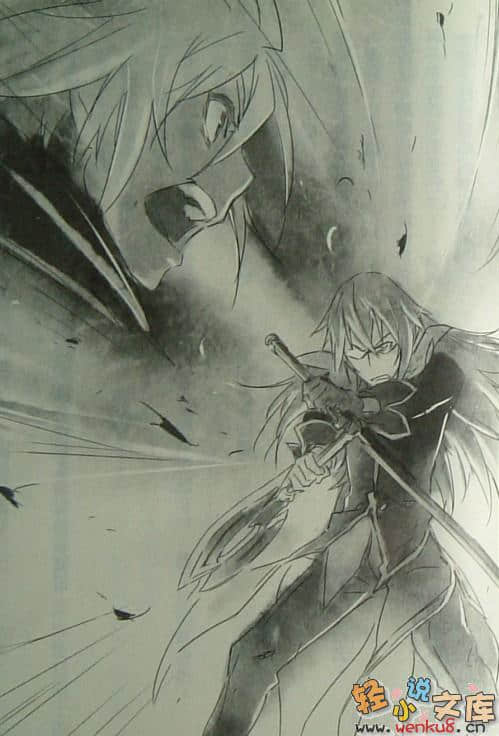 Tales of Symphonia 交响曲传奇 拉塔特斯克的骑士小说插图（11）
