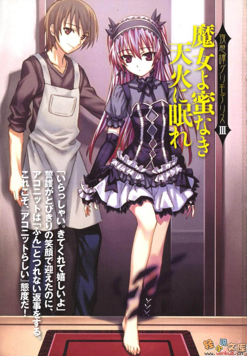 《夜想谭教诲师》3 魔女啊，长眠于无蜜的天火之中吧 插图（3）