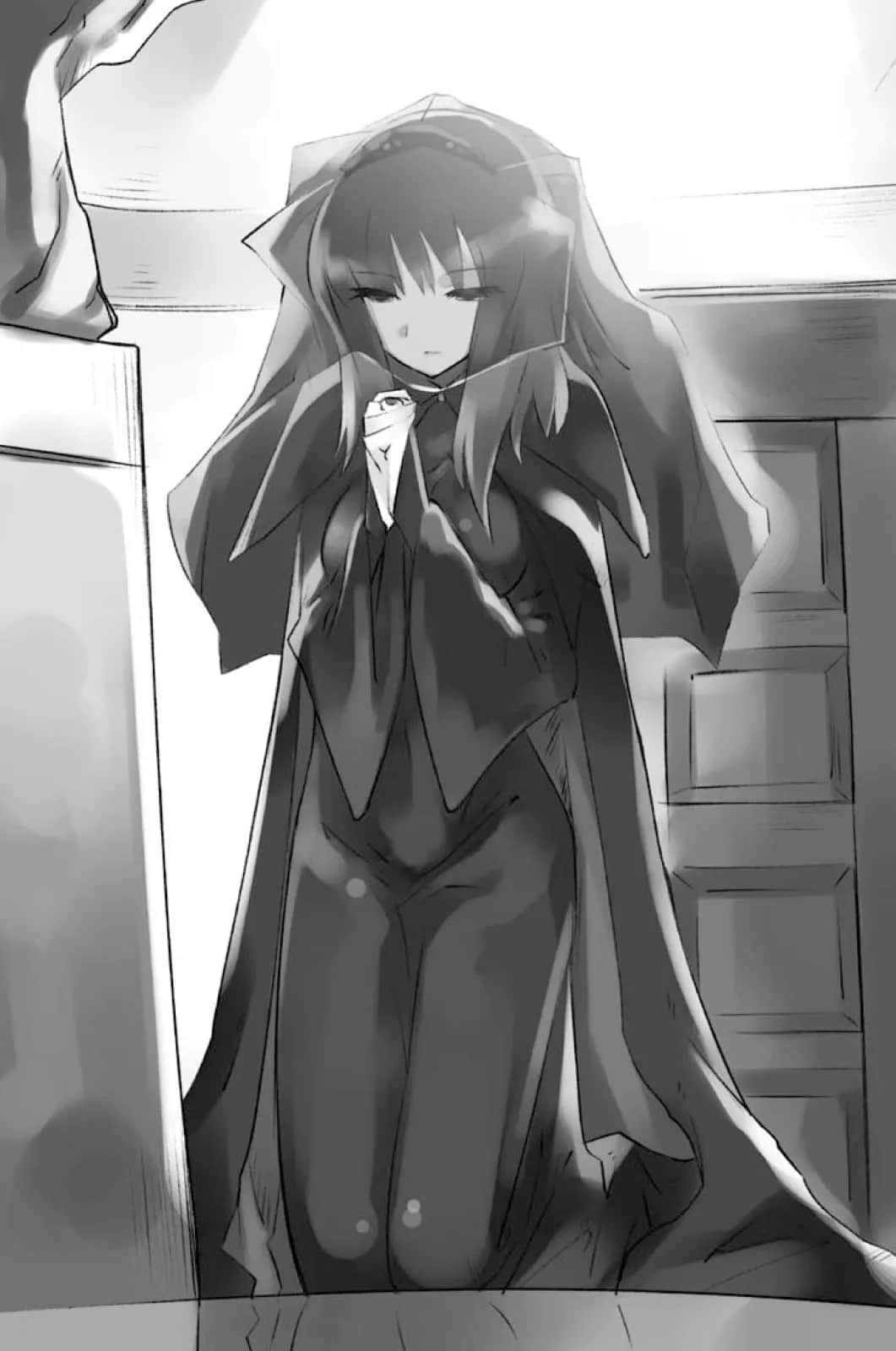 零之使魔小说插图（84）