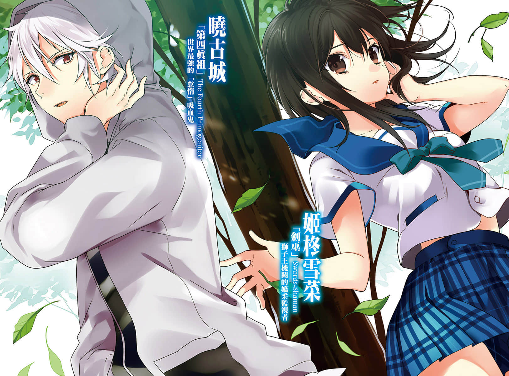 《噬血狂袭 Strike the Blood》14 黄金时光 插图（3）