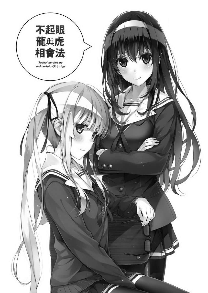 《不起眼女主角培育法》Girls Side 不起眼龙与虎相会法插图(1)