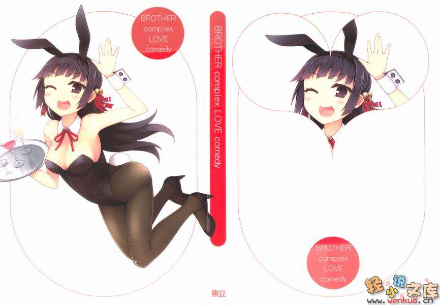 《就算是哥哥有爱就没问题了对吧》5 插图（3）