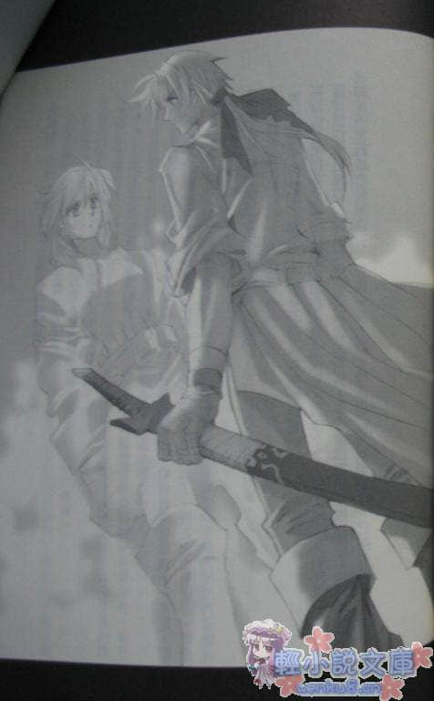 狂野历险 Alter code:F小说插图（24）