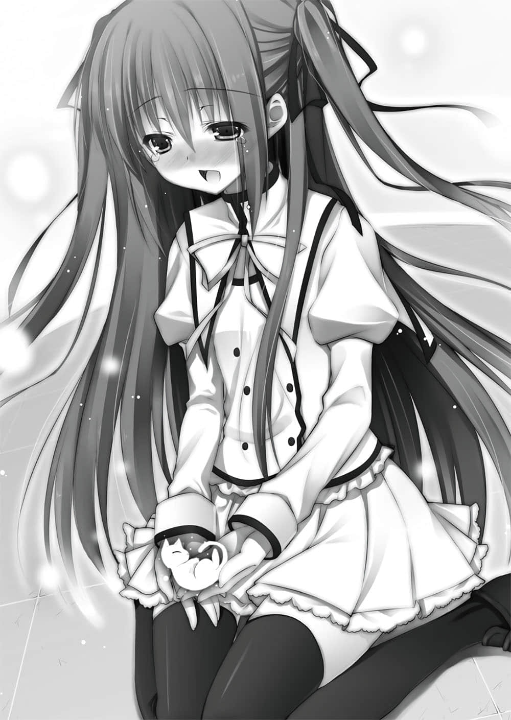 《精灵使的剑舞》1 剑、学院与火猫少女 插图（15）