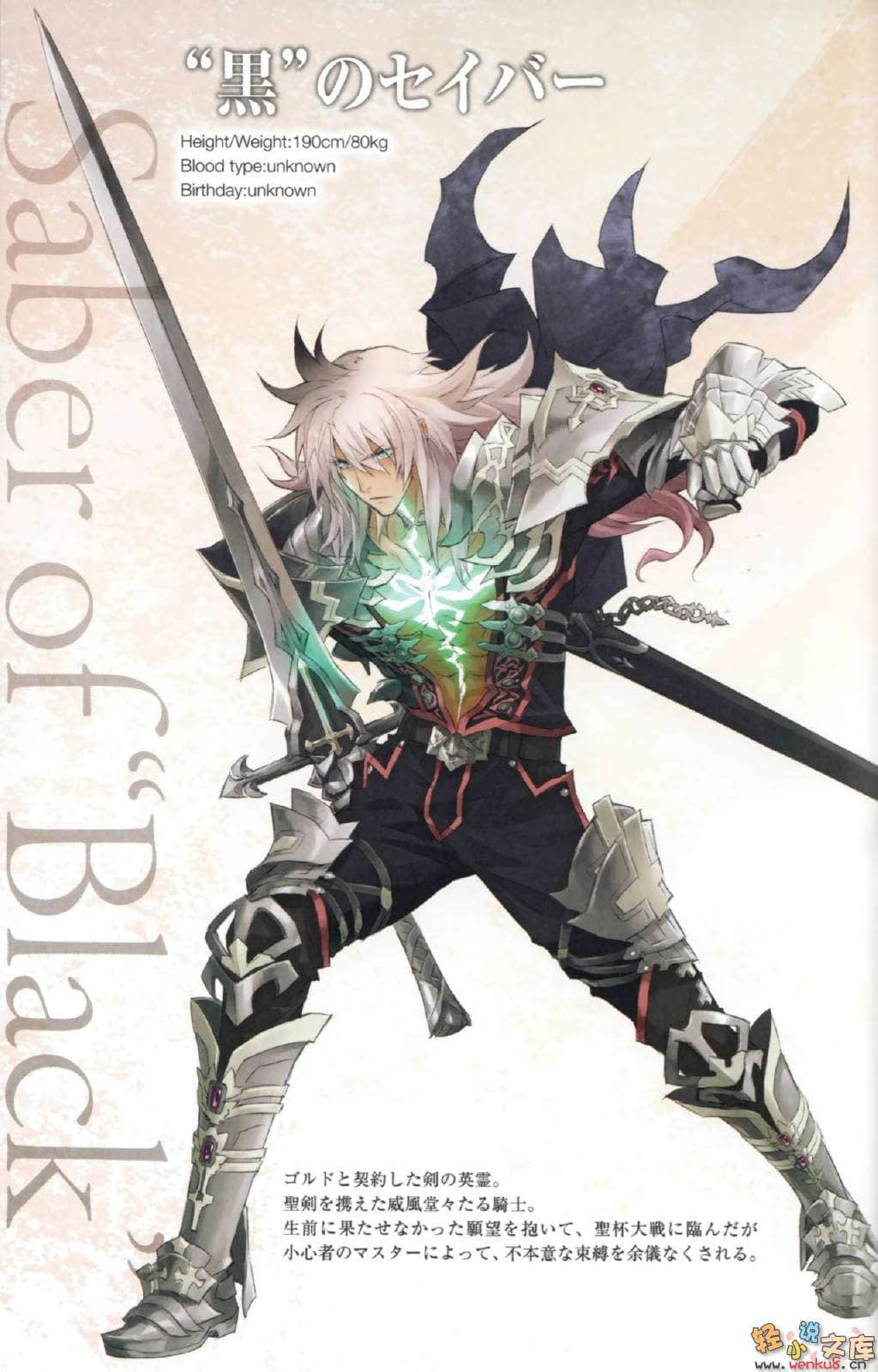 Fate Apocrypha小说插图（21）