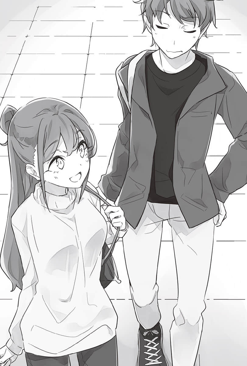 青春猪头少年小说插图（154）