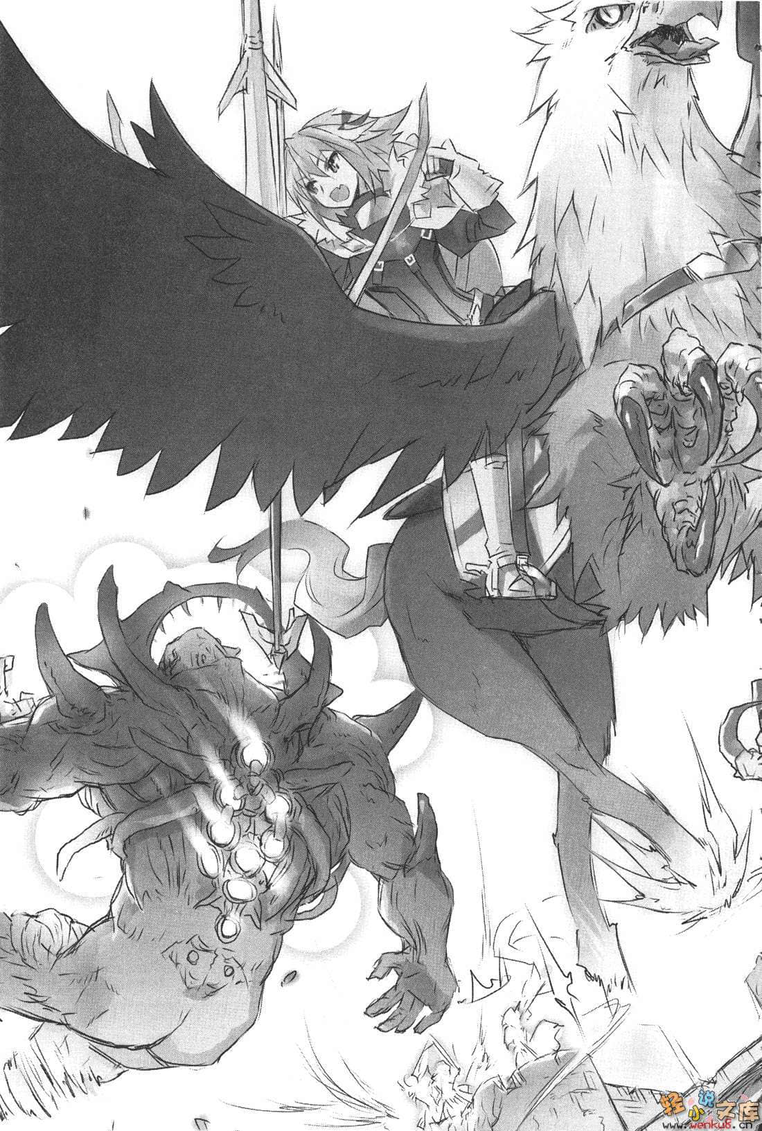 Fate Apocrypha小说插图（51）