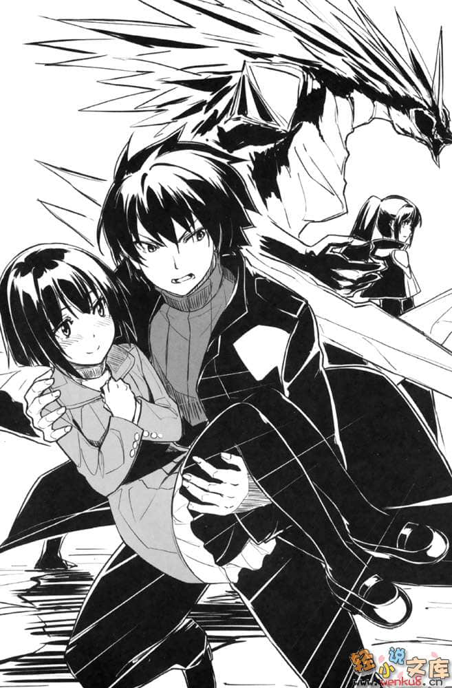 《圣剑与魔龙的世界》3 插图（12）