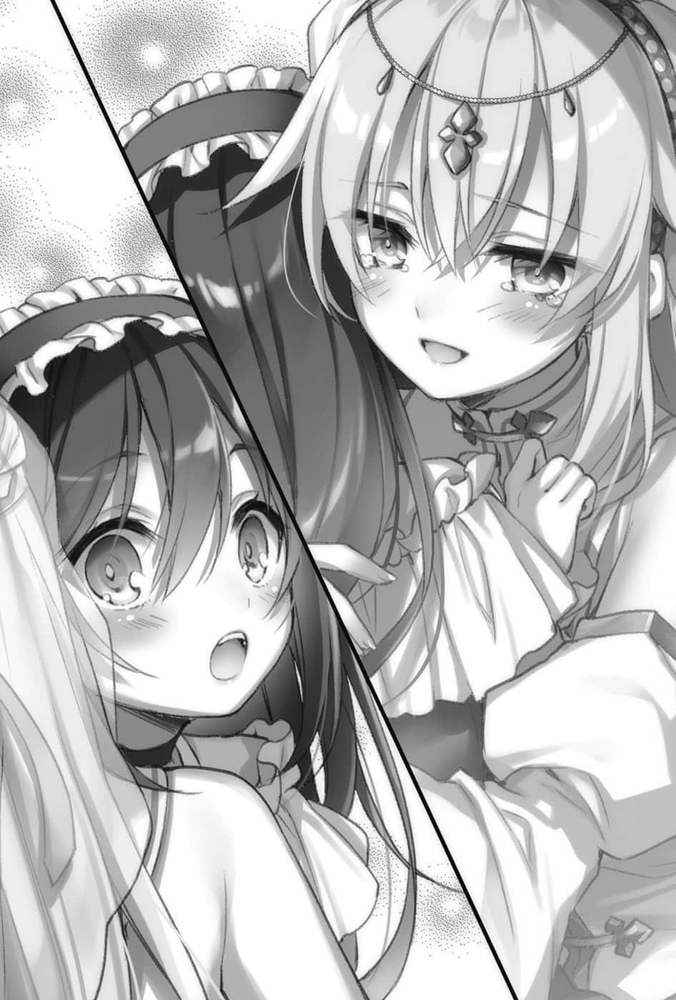 打倒女神勇者的下流手段小说插图（22）
