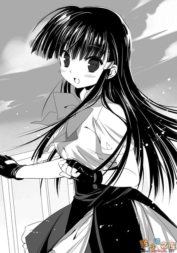 《召唤学园的魔术史学》3 插图（10）