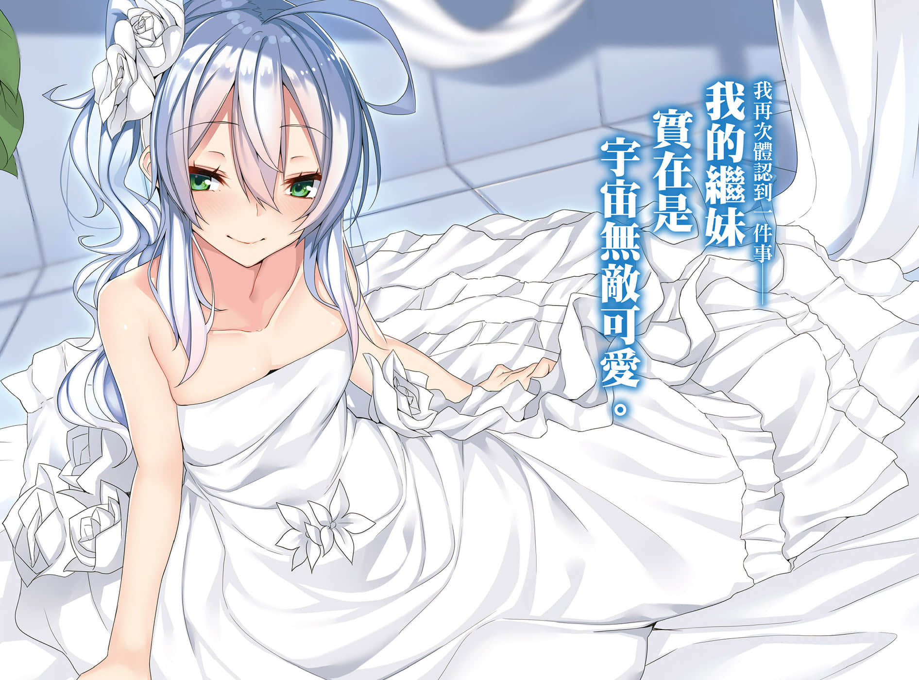 报告！哥哥和我要结婚了！小说插图（31）