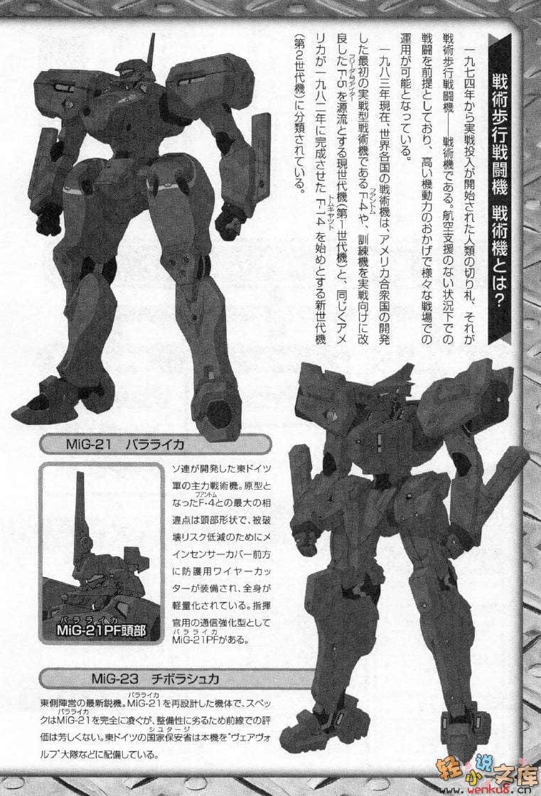 《MUV-LUV Schwarzes marken》2 插图（12）