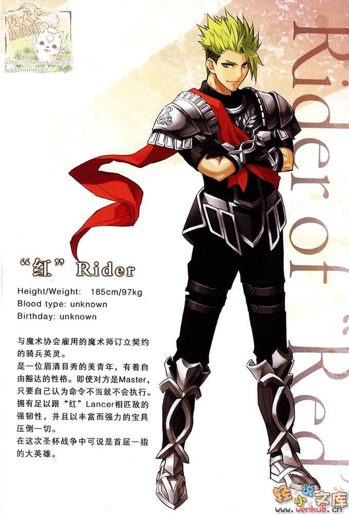 Fate Apocrypha小说插图（42）
