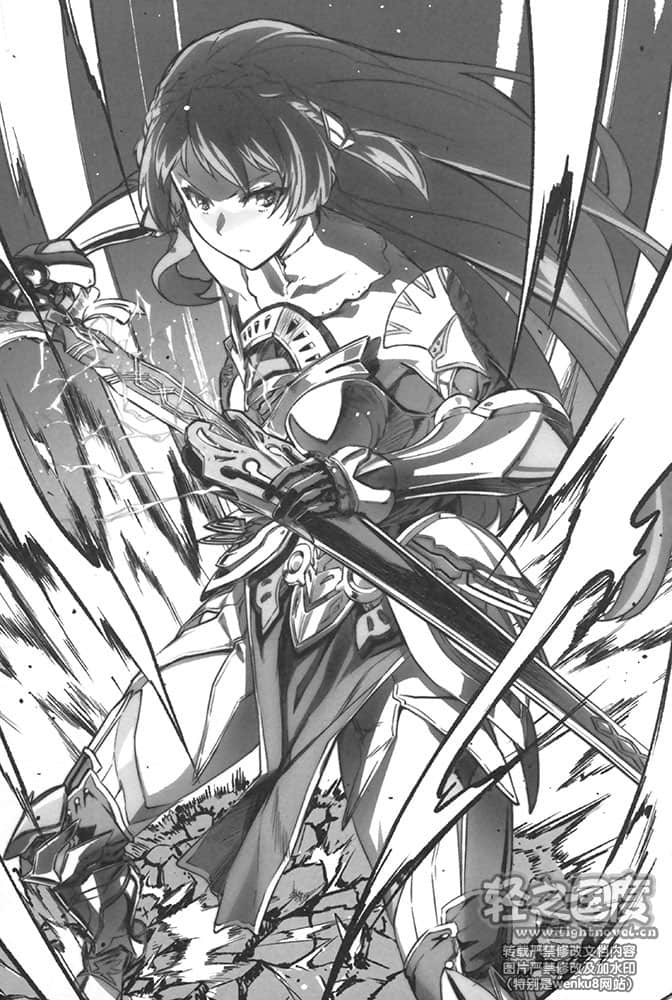 女骑士小姐，我们去血拼吧！小说插图（14）