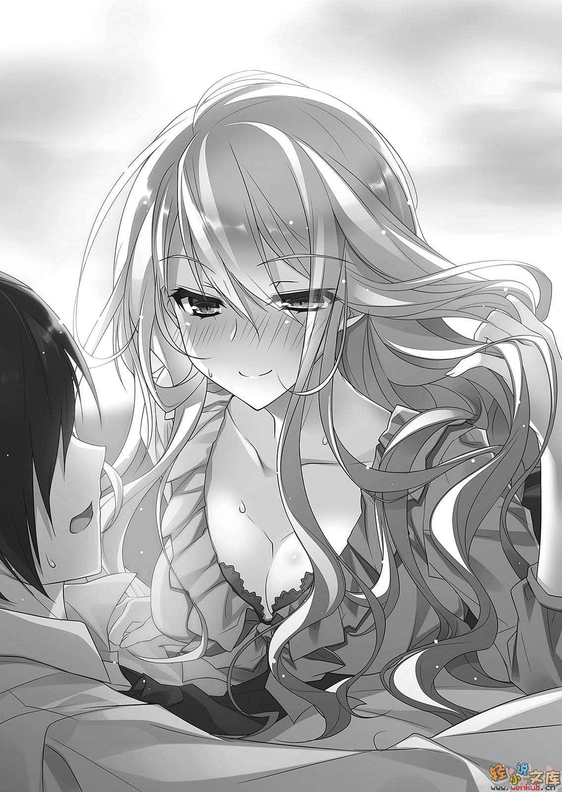 《银之十字架与吸血姬》4 插图（6）