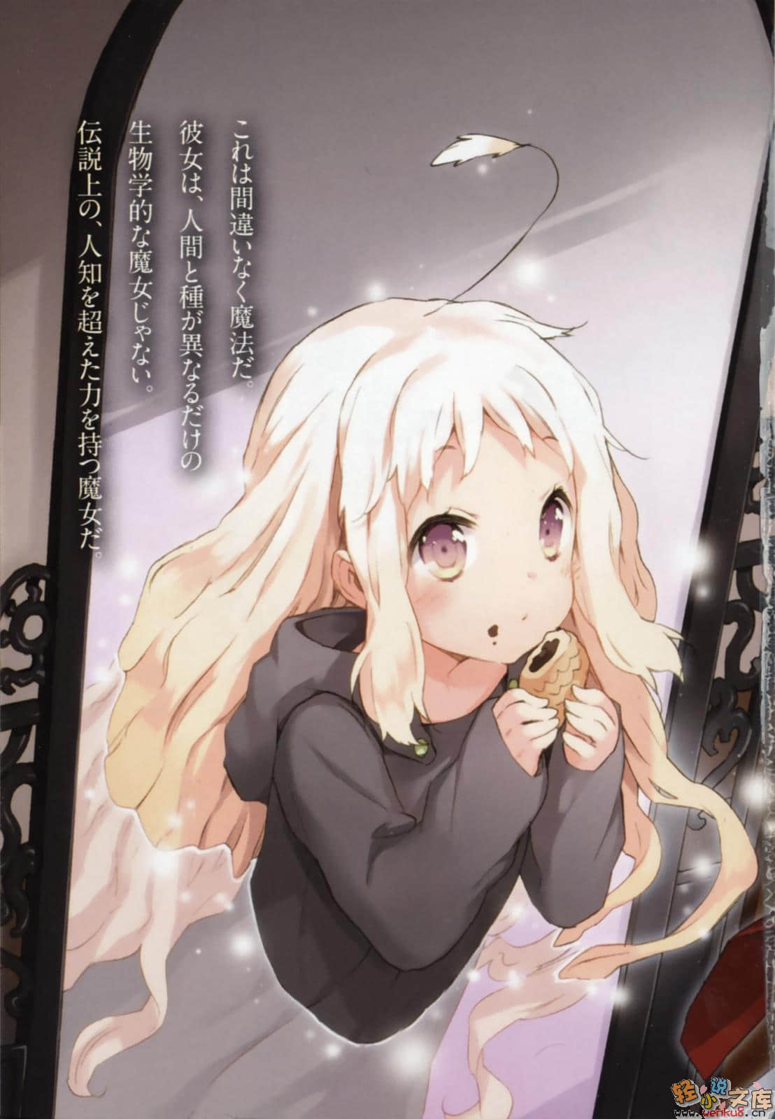 有看到我家的魔女吗？小说插图（4）