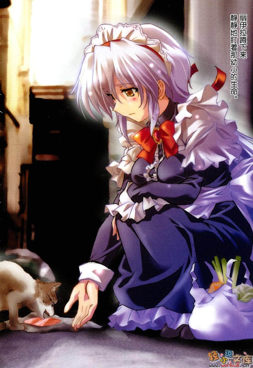 《愛的魔法》12 更多女僕之卷 插圖（5）