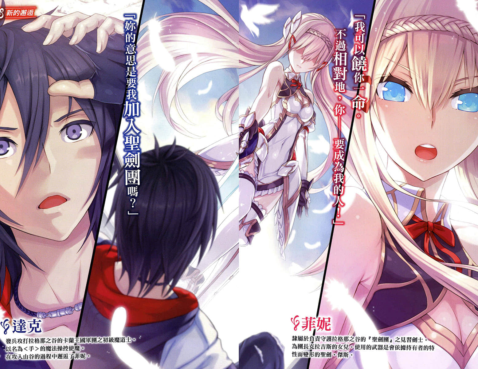 圣剑姬与神盟骑士团小说插图（2）
